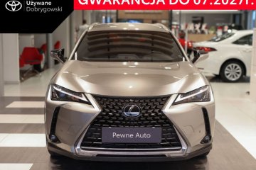 250h GPF Business 2WD