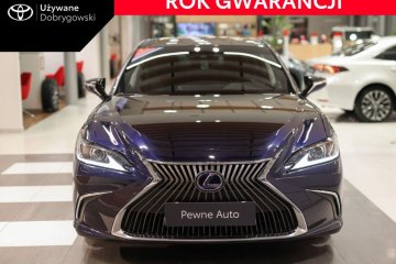 300h Business Edition +