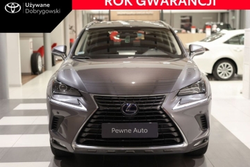 300h Optimum AWD Business Oferta Dealera Gwarancja