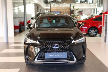 250h GPF Business Edition AWD