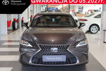 300h Business Edition